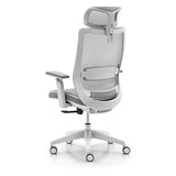 T31DH Ergonomic office chair